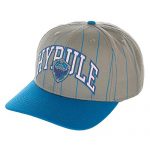 Zelda Hyrule Video Sport Blue Pinstripe Adjustable Hat