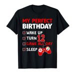 12th Birthday Fetch collectively Ideal Gift For Gamer 12 Years Feeble Boy T-Shirt
