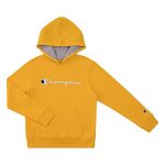Champion Children Clothes Sweatshirts Childhood Heritage Fleece Pull On Hoody Sweatshirt with Hood  (X-Extensive, Crew Gold)