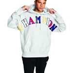 Champion Males’s Reverse Weave Pullover Block Logo, Gfs Silver Grey-Y07986, Exiguous
