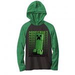 Minecraft Boys Lengthy Sleeve Creeper Hoodie Tee (Inexperienced/Grey, Size 7)