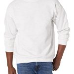 Hanes Men’s EcoSmart Sweatshirt, ash, Large