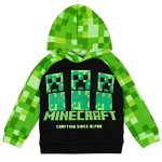 Minecraft Creeper Shrimp Boys Fleece Pullover Hoodie Pockets Inexperienced/Gloomy 4