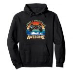 Stage 6 Unlocked Safe 2016 Video Gamer Retro sixth Birthday Pullover Hoodie