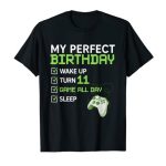 11th Honorable Birthday Boys Gaming 11 Years Mild Items Gamer T-Shirt