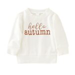 New child Youngster Boys Ladies Toddler Sweatshirt Pullover Radiant Ear Hoody Tops Pullover Fall Cold weather Clothes 3D Ear Shirt Coat White
