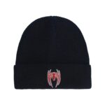 Marvel Spider-Man Beanie Hat, Game Logo Winter Knit Cap with Cuff, Blue, One Size