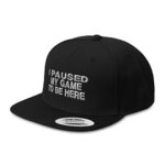 Snapback Hats for Men & Women I Paused My Game to Be Here Embroidery Acrylic Flat Bill Baseball Cap Black