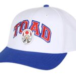 Super Mario Hat | Nintendo Mario Bros Snapback Hat | Video Game Hat Toad Embroidered Adjustable Hat for Men or Women