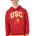 Ultra Game mens 260gsm Cvc Fleece Hooded Sweatshirt, Cardinal Red, X-Large